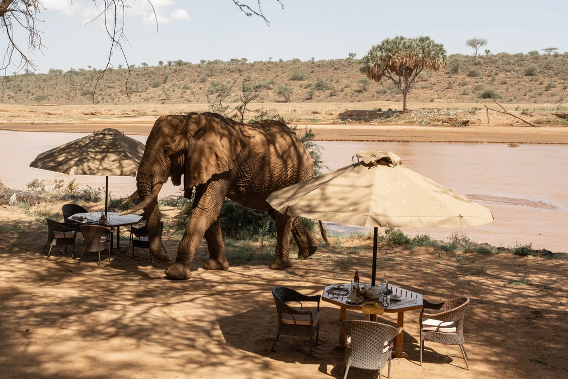 Samburu National Reserve river view from Elephant Bedroom Camp